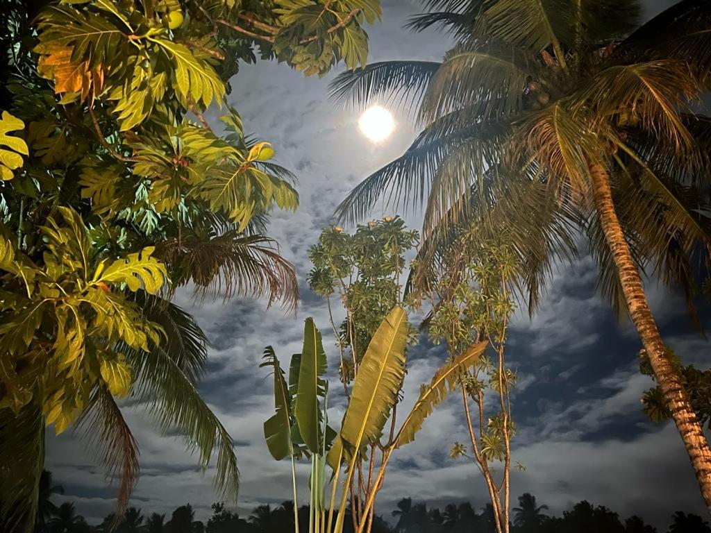 Pousada Vida Sol São Miguel dos Milagres Екстериор снимка
